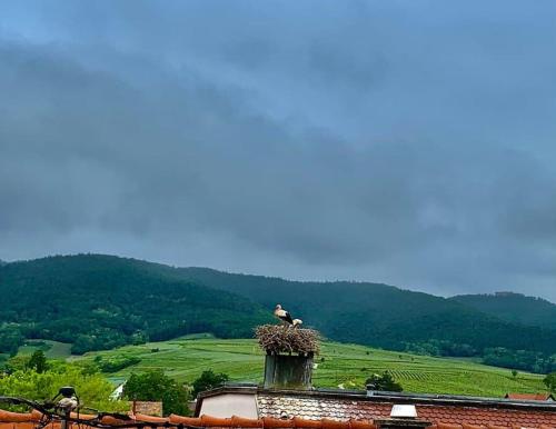 Les Toits du Rempart