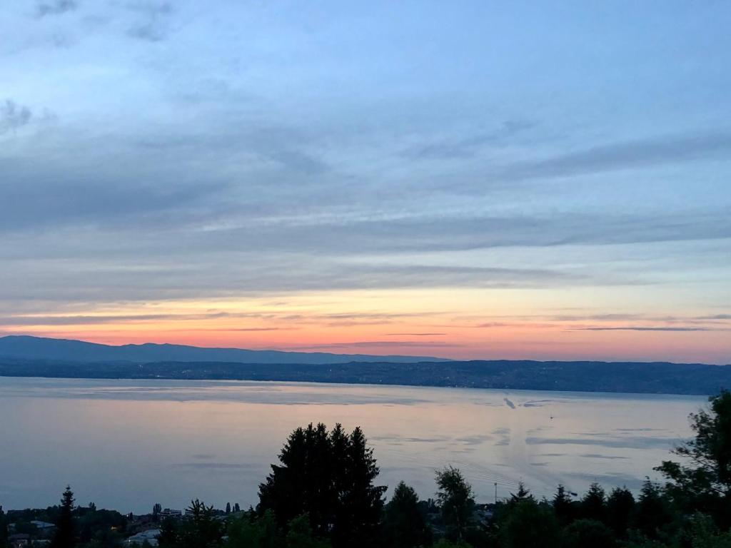 Les Vies en Rose 7 Chemin de la Serraz, 74500 Évian-les-Bains