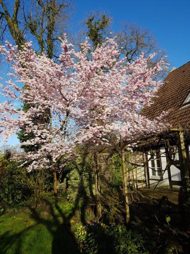 Lieblingsplatz
