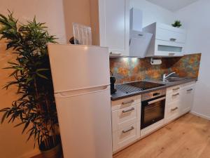 Lifestyle-Appartment near BASF in Ludwigshafen