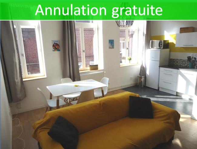 Appartement Appartement Lille/1ch/stationnement gratuit 11 rue du Chemin de Fer Appartement N°3, 59800 Lille