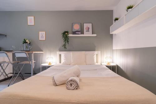 Lille Centre - Nice cozy and functional studio