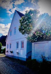 LilleHavn