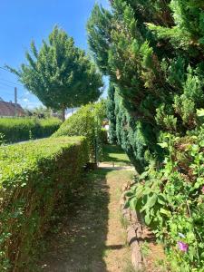 Appartement Lilo Luisa Blumenstrasse 5 69469 Weinheim Bade-Wurtemberg