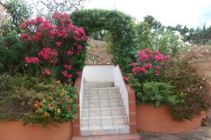 LIMONE