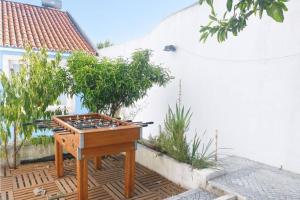 Lisboa - Apartment with Garden - Ajuda Palace & Royal Treasure Museum