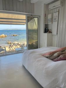 Appartement Little Cabanou 49 Avenue du Général Leclerc 83120 Sainte-Maxime Provence-Alpes-Côte d\'Azur