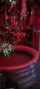 location appartement jacuzzi