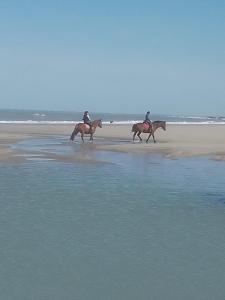Location bord plage