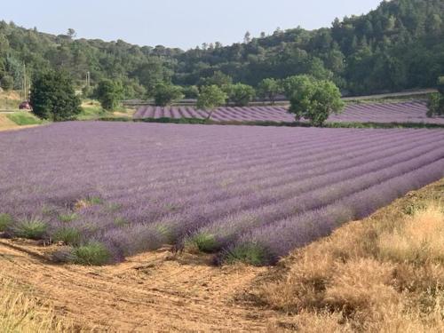 Location de vacances Rians haut Var
