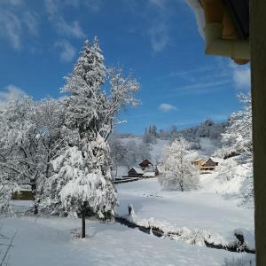 Location Elfe