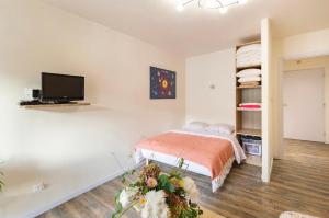 Location petit F1 neuf à Chatel-Guyon (63140)