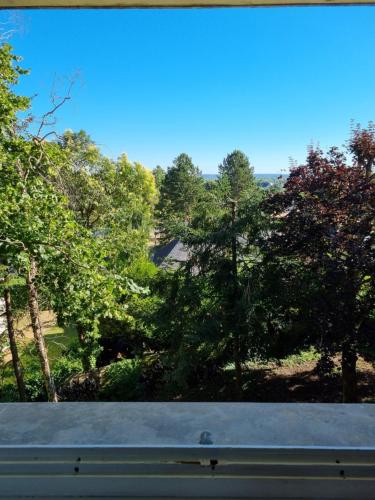 Location saisonnière appartement situé à Saumur