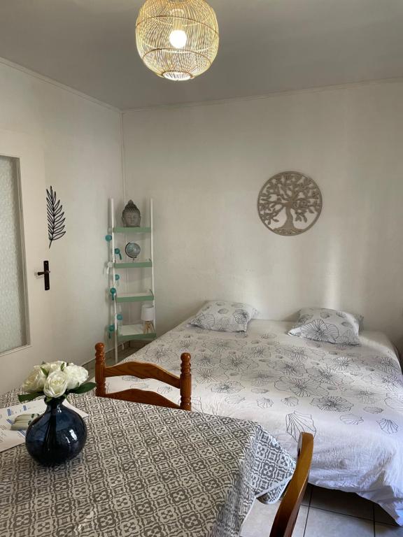 Appartement Locations Amelie proche des thermes 25 Rue Castellane 66110 Amélie-les-Bains-Palalda