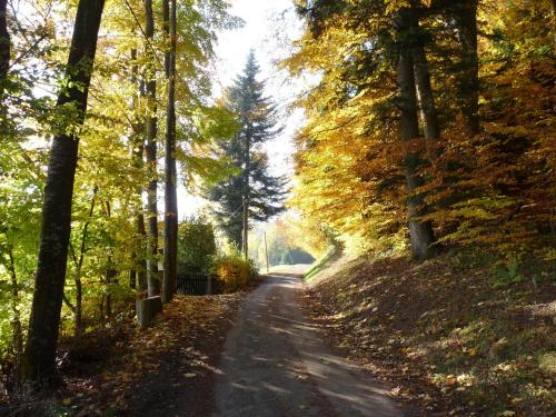 Locations Dupertuis Alsace
