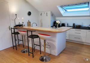 Loft avec Terrasse 77 M2 et 24 M2 STRASBOURG 2 à 6 couchages G Friendly