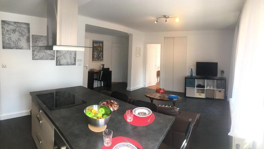 Loft avec vue sur le Parc Thermal 3 Avenue du Turgot, 74200 Thonon-les-Bains