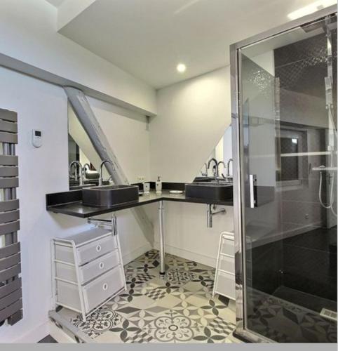 Loft, centre ville, atypique de 100m2
