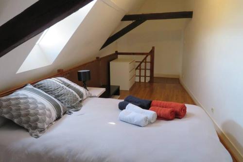 Loft de 53 m2 centre ville Blois WIFI et TV