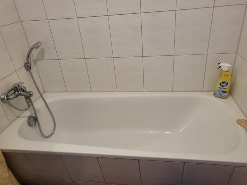 Loft Domblick