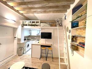Loft du Quai des Grands Augustins