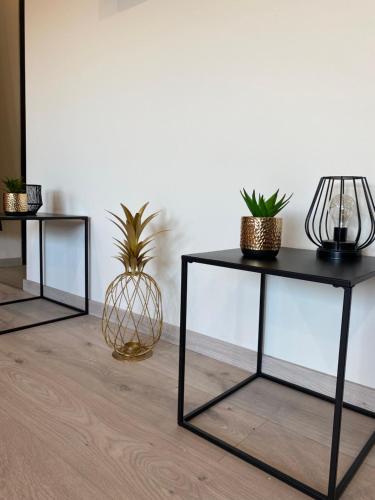 Loft lumineux et moderne à Montauban
