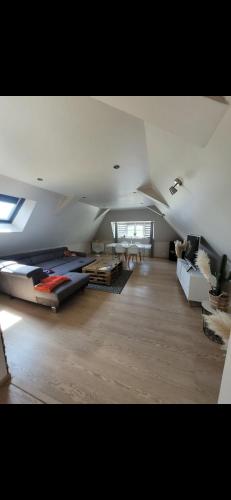 Loft oloron sainte marie
