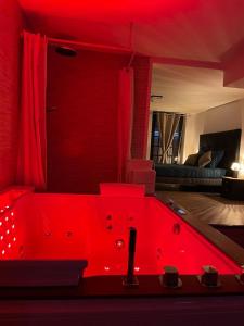 Loft ravissant 45m2 Jacuzzi RVB NIGHT 2