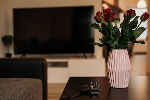 Loft Riva II