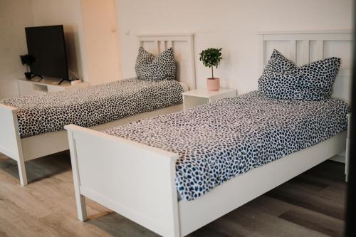 Loft Riva II