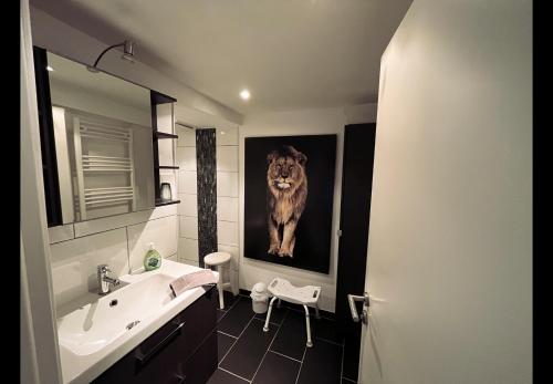 Lofty Apartment - Hirsch