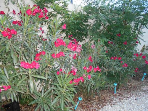 LOGEMENT 70m2, 4 PIECES, 8 PERSONNES, JARDIN