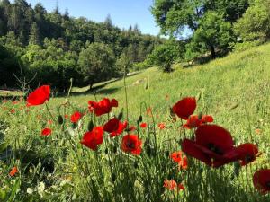 Logement calme avec vue sur le Luberon