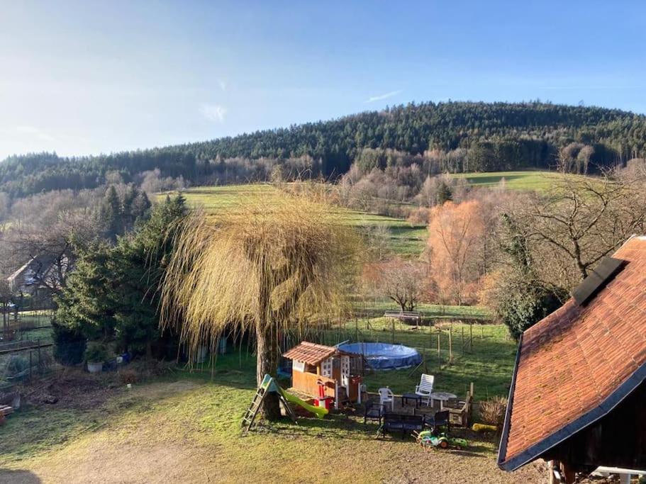 Appartement Logement chaleureux, vallée de Villé 67 Grand Rue 67220 Steige