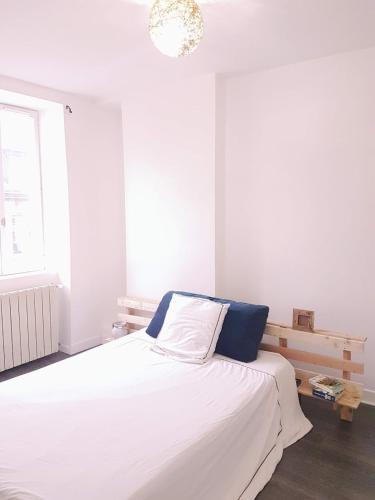 Logement Charmant, Propre de 40m2 environ en plein centre ville, dans le cœur historique de Vierzon, dans le Cher