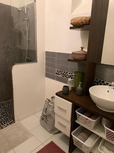 Logement Charmant, Propre de 40m2 environ en plein centre ville, dans le cœur historique de Vierzon, dans le Cher