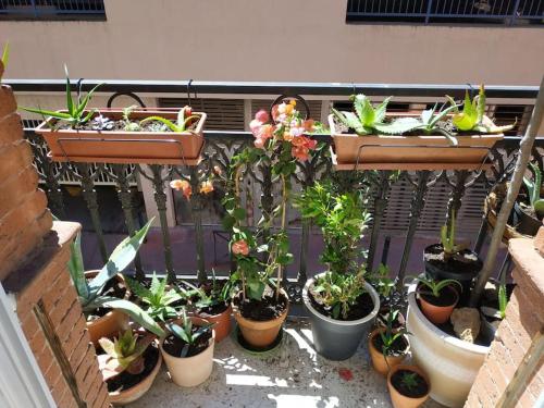 Logement de charme hypercentre