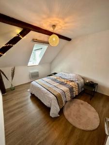 Logement entier au coeur de Strasbourg