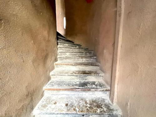 Logement entier : LYON 2 Jacobin - Studio au Calme