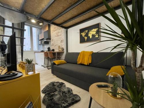 Logement entier : LYON 2 Jacobin - Studio au Calme