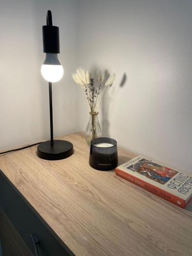 Logement entier : Studio neuf avec jardin