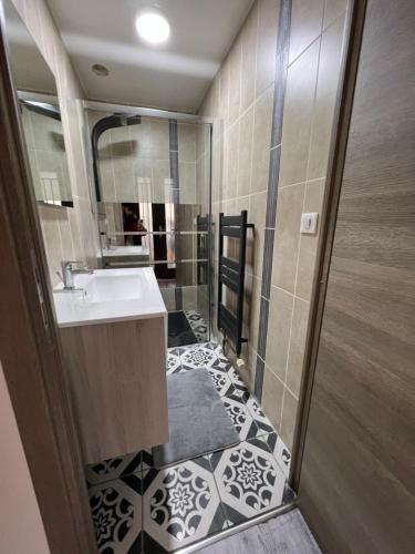 Logement entier : Superbe appartement centre ville