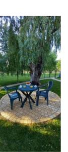 Logement lumineux, entièrement rénové avec jardin