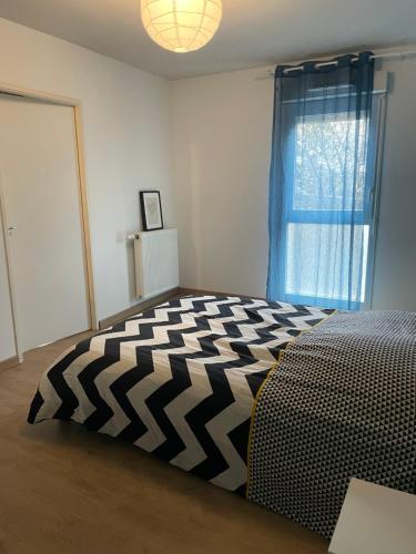 Logement T2 avec grande terrasse