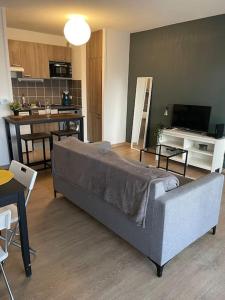 Logement T2 avec grande terrasse