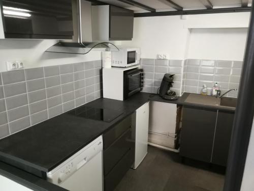 Logement très clair refait à neuf 2 ch lyon4