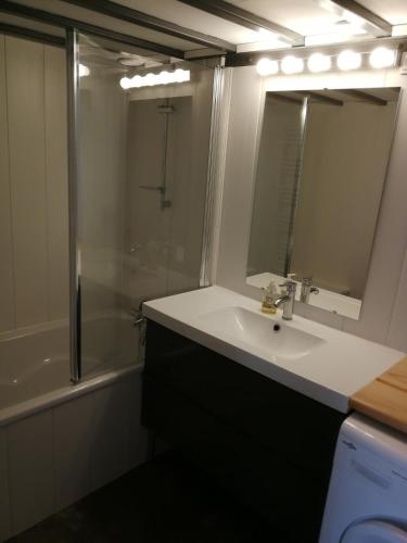 Logement très clair refait à neuf 2 ch lyon4
