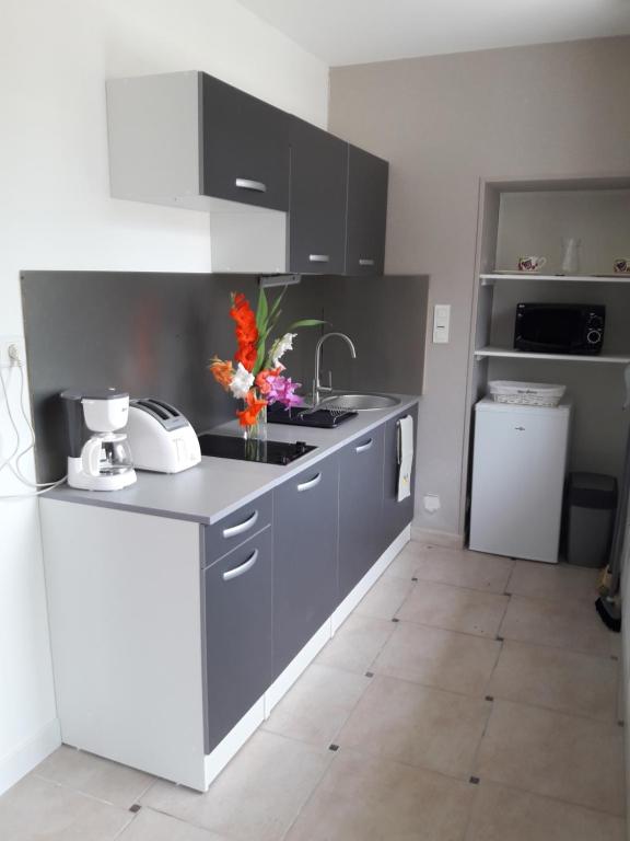 Appartement Logis de LANGE studio 2 p 52 Rue de Pied Blanc 79210 Saint-Hilaire-la-Palud