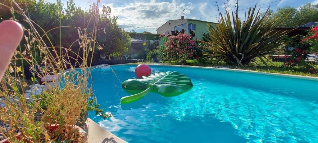 Loudéac : Appartement T2 chaleureux centre ville