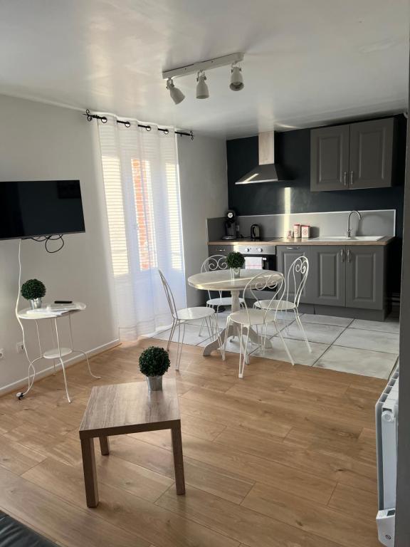 Appartement Louis Pasteur 4 PREMIUM 24 Rue Pasteur 51200 Épernay